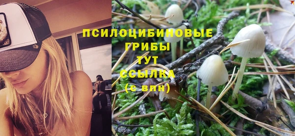 стаф Надым