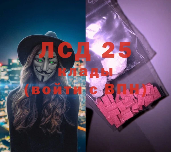 стаф Надым