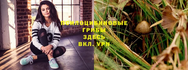 герыч Абаза