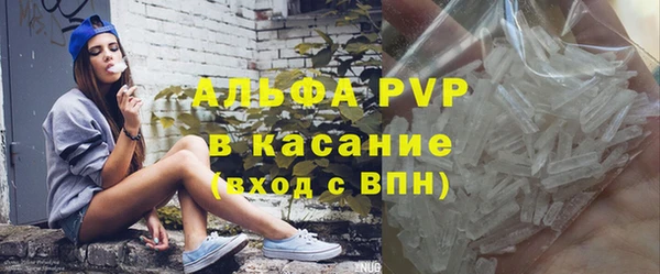 стаф Надым