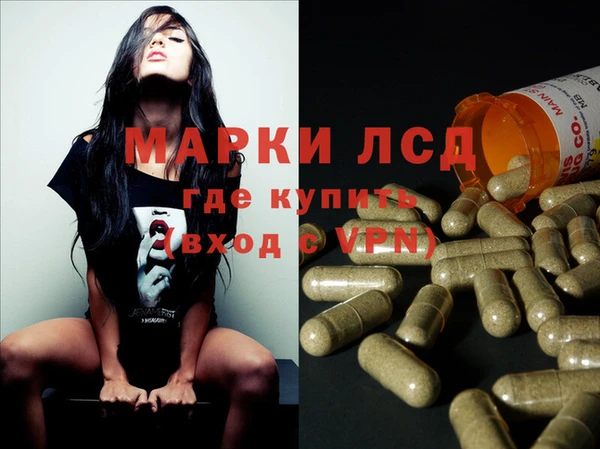 стаф Надым