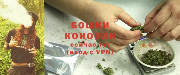стаф Надым