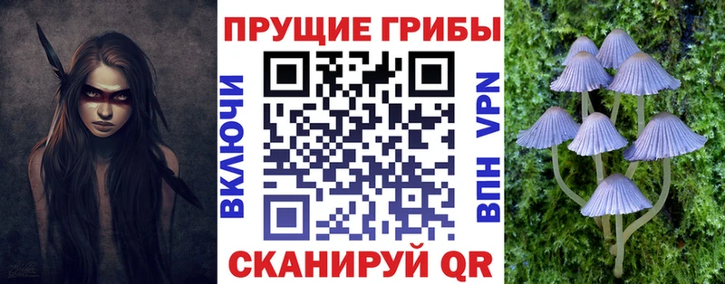 Галлюциногенные грибы Psilocybe  kraken рабочий сайт  Власиха 